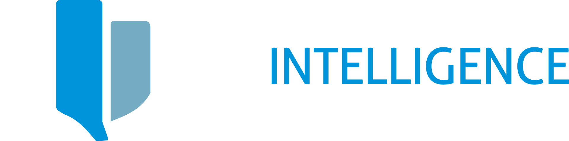 Sky Intelligence